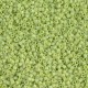 Miyuki delica beads 15/0 - Matted opaque chartreuse ab DBS-876